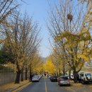 공주교도소부속의원 이미지