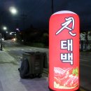 [태백 맛집] 태백 막창 맛집 '친태백막창' 돼지막창,소막창 후기