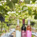 청수농원 이미지