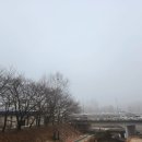 사업은 이렇게 하는 것 - 왜 데이터인가