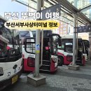 부산 서부사상버스터미널 노선 물품보관함 식당 카페 뚜벅이 여행
