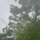 석화산농장 이미지