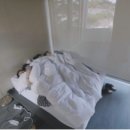 힐링비움