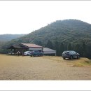 용장리 느티나무 | 진도 2박3일 1일차 (전편 남망산)