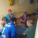 하성농장 이미지