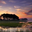 솔섬노을 이미지