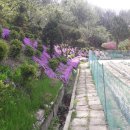 전원목장 이미지