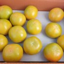 진가네농장 이미지