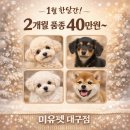 청도펫동물병원 네이버블로그