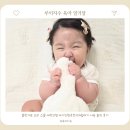 블랑루이 | 블랑가또 오리 스몰 애착인형 아기인형추천 8개월아기 사용 솔직 후기(털빠짐, 사용감, 사이즈)