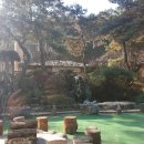 신평농장2 이미지