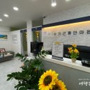 수기근통안마원 이미지