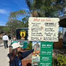 오렌지 농장 이미지