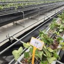 논산시농업기술센터 이미지