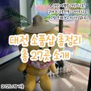 01-54 동구 | 대전소품샵 총정리 모음zip 27곳 소개 증말 탈탈 털었어요