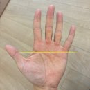 더찬스짐 역동점 이미지