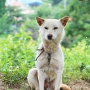 금골농장 이미지