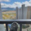 [에코델타시티] 홈카페 취미반 | ┃에코델타시티 푸르지오 린┃(38) 시공 5 - 미세 방충망 후기 (쉴드존) / 4차원지인