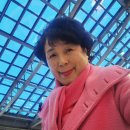 청운대학교 대학원 | 대학원졸업?? 축하축하꽃, 졸업씨즌