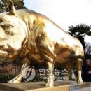 황금 연합뉴스