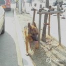 이승민농장 이미지