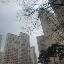 롯데캐슬1차 작은도서관 | 롯데캐슬골드파크 1차 임장기 금천구 대장아파트