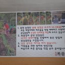 옥천복골집
