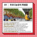 푸르디농장 이미지