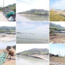 당사도수산물 이미지