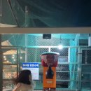 만남의광장마트