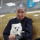 구피성당 Daum카페