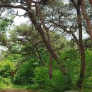 관동묘려 이미지