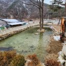 칠봉 송정 캠핑장 이미지