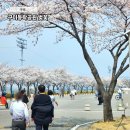 어린이교통공원 자전거대여소(11월~2월) | 구미 벚꽃 명소 동락공원 벚꽃나들이, 자전거 무료 대여 이용방법 등