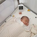 모로반사 방지 속싸개 추천｜머미쿨쿨 올인원 실사용 리뷰