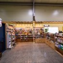 멍선생 애견카페 이미지