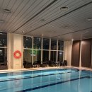 씨티호텔 | 수영을 위한 수영에 의한 수친자의 공덕<롯데씨티호텔마포> 호캉스 후기