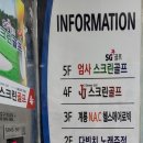 엄사스크린골프 이미지