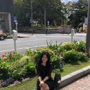 새무리 | 후쿠오카 가볼만한 곳. 산책하기 좋은 오호리공원