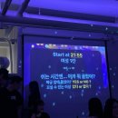 파티가는 댕댕이 | 효스타임| 솔로 파티 솔직 후기1탄| 할인정보까지
