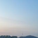 해가쭈꾸미 이미지