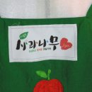 사과나무 - 강북구 수유동 | 사과나무