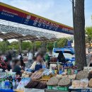 야구장 | 두산 vs 한화, 승리 요정의 잠실야구장 직관 후기