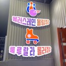 볼러스레인 이미지