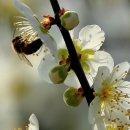 송죽여관 | 정자詩로 만난 인물- 오희도(吳希道)2