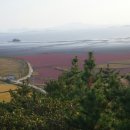 삼성여행사 이미지