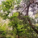 영축산순환산책로(광운대역) 이미지