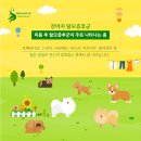 민 동물병원(동물미용) 이미지