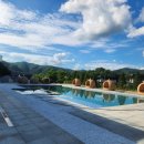 라비드 포레 이미지