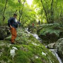 참새미골 이미지